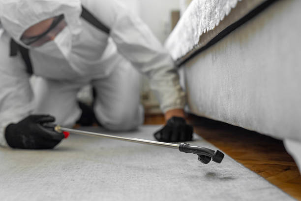 Professional Bed Bug Control technician working in Campti, LA